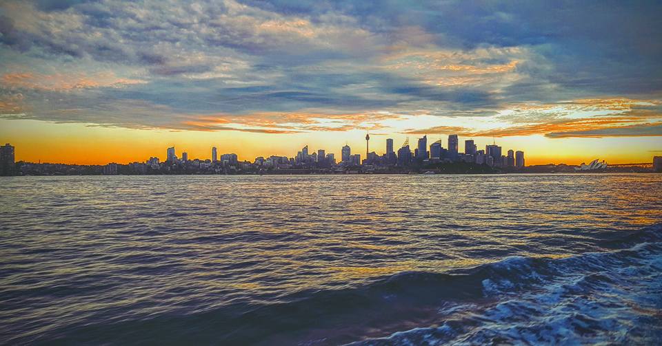 13239065_10157097117470647_413266069266671216_n