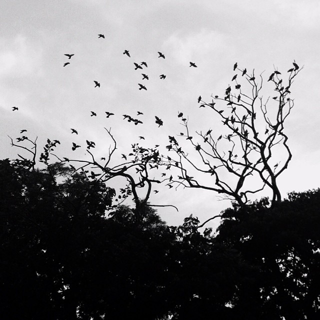 58678_10152196667982231_590448275872371777_n